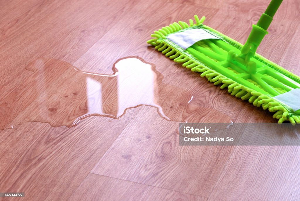 istockphoto 1327133199 1024x1024 1 istockphoto 1327133199 1024x1024 1